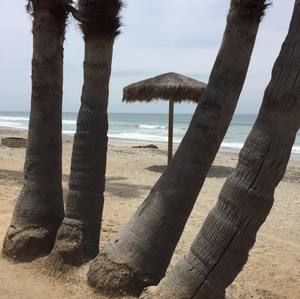 Meet your Posher, Terri